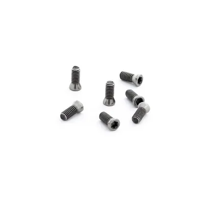 Parafuso tork m2,5 x 06,5mm para chave t07 - black tools