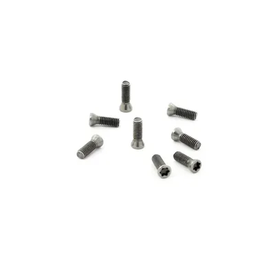 Parafuso tork m2,5 x 0,45p - comprimento 06,5mm para chave t08 - dry cut