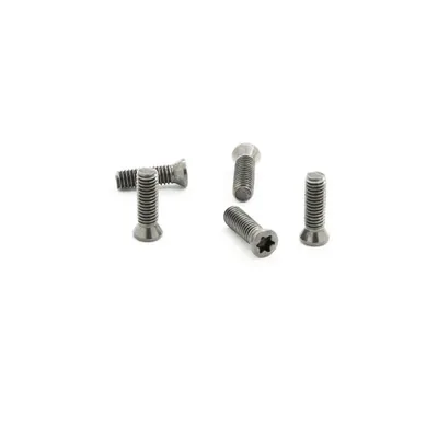 Parafuso tork m3,0 x 0,50p - comprimento 06,0mm para chave t10 - dry cut