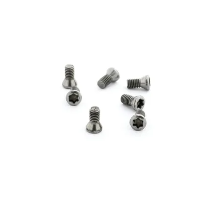 Parafuso tork m4,0 x 08,5mm para chave t15 - black tools