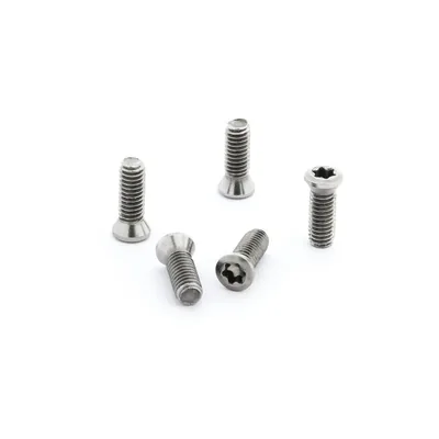 Parafuso tork m4,5 x 10,5mm para chave t20 - guran