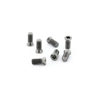 Parafuso tork m5,0 x 12,0mm para chave t20 - guran