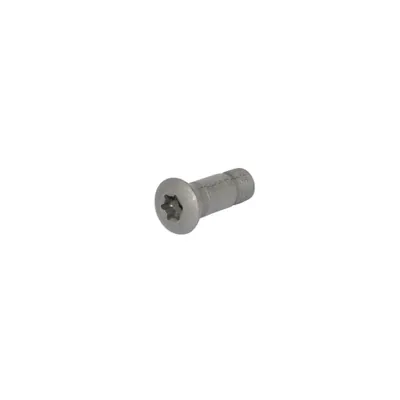 Parafuso tork m5 x 15,5 para inserto ball nose 20mm rc20 - fs393 black tools