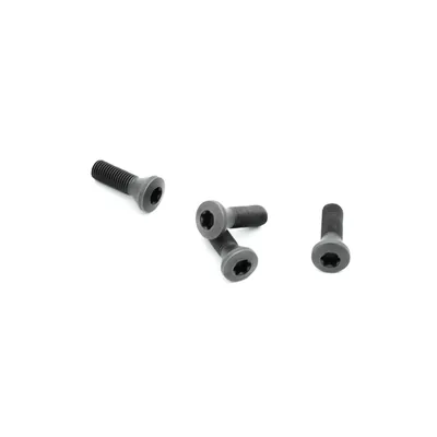 Parafuso tork m4,0 x 05,0mm para chave t15 - 5513.020.18 black tools