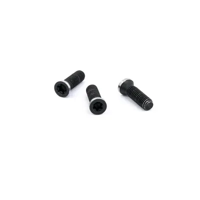 Parafuso tork m5,0 x 17,0mm para chave t20 - black tools