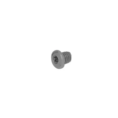 Parafuso tork m3,5 x 06,0mm chave t09 para suporte r166 - 5512.032.01 black tools