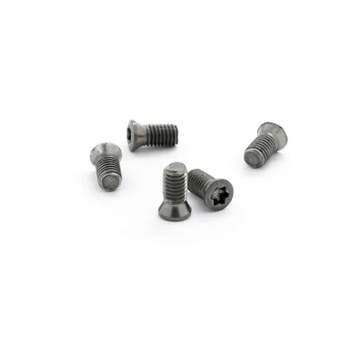 Parafuso tork m5,0 x 10,5mm para chave t20 - guran