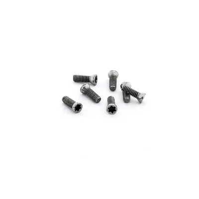Parafuso tork m1,8 x 05,5mm para chave t06 - guran