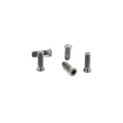 Parafuso tork m3,0 x 08,0mm para chave t09 - guran