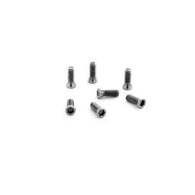Parafuso tork m2,0 x 05,0mm para chave t06 - 5513.020.27 black tools