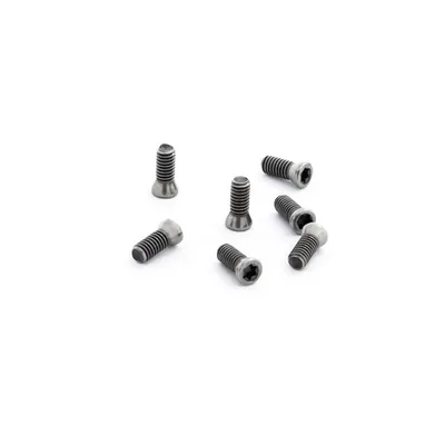 Parafuso tork m2,5 x 06,0mm para chave t08 - guran