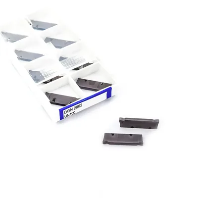 Inserto bedame dgn 2002 un100 - guran