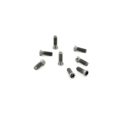 Parafuso tork m2,5 x 0,45p - comprimento 06,5mm para chave t07 - dry cut