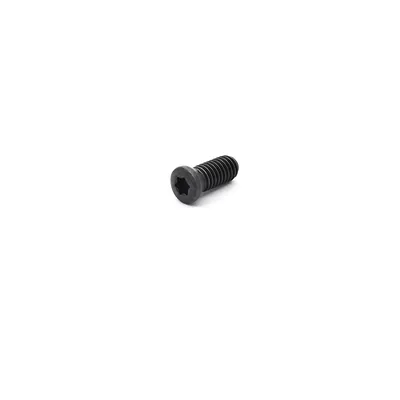 Parafuso tork m3,5 x 09,0mm para inserto blmp 0904 alto avanço - sansui
