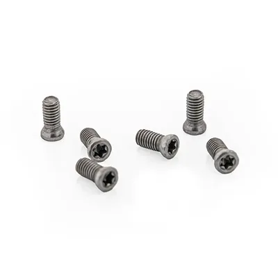 Parafuso tork original de alta resistência m2,5 x 0,45p - comprimento 06,0mm para chave t08 - sansui