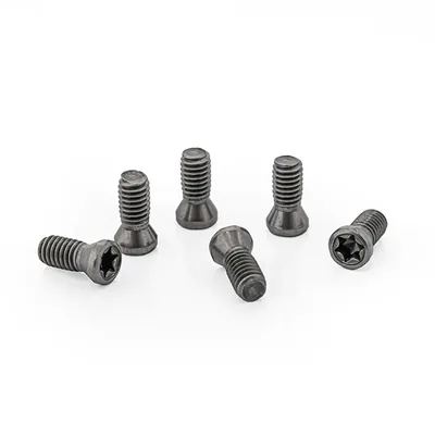 Parafuso tork original de alta resistência m3,0 x 0,50p - comprimento 07,0mm para chave t09 - sansui
