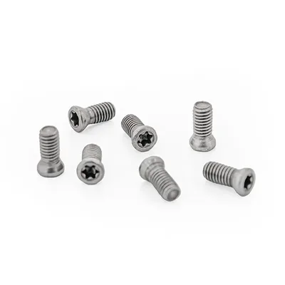 Parafuso tork original de alta resistência m2,0 x 0,40p - comprimento 05,0mm para chave t06 - sansui